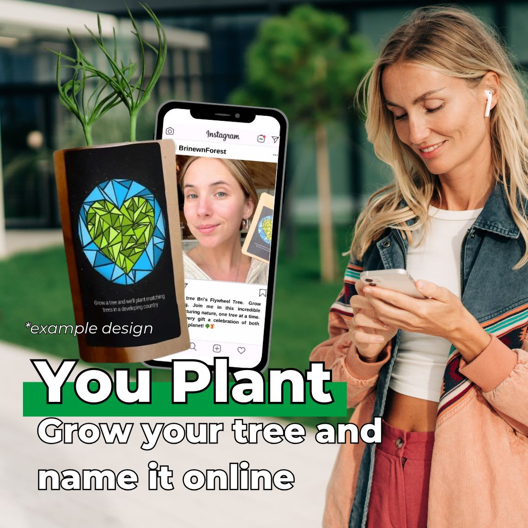 82254805